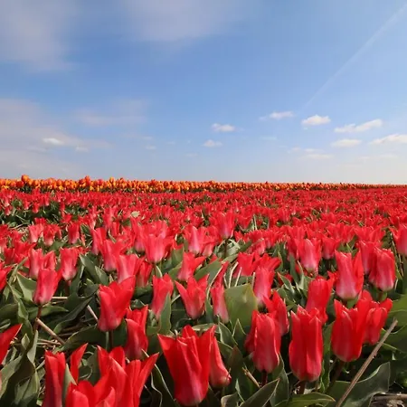 בית נופש Ooghduyne 82